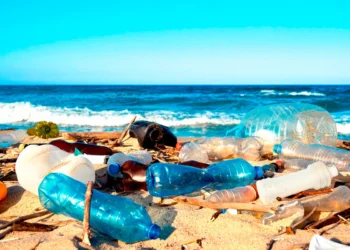 Déchets plastiques : les industriels de la boisson face à leur impunité environnementale