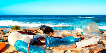 Déchets plastiques : les industriels de la boisson face à leur impunité environnementale